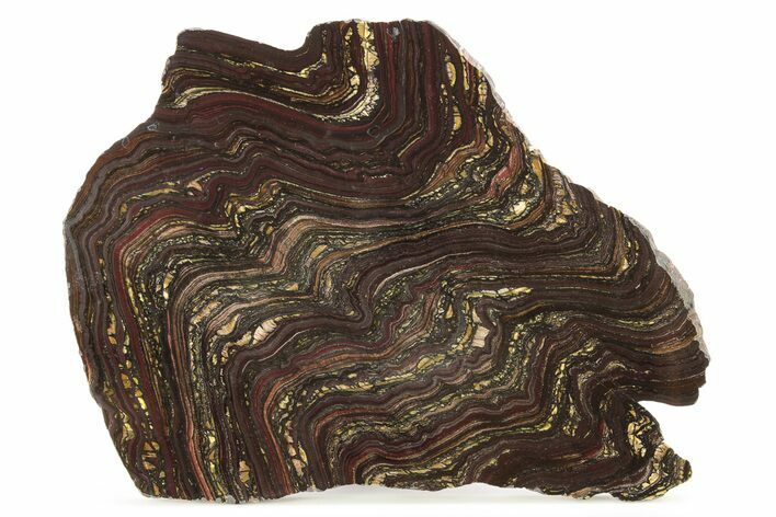 Polished Tiger Iron Stromatolite Slab - Billion Years #261984